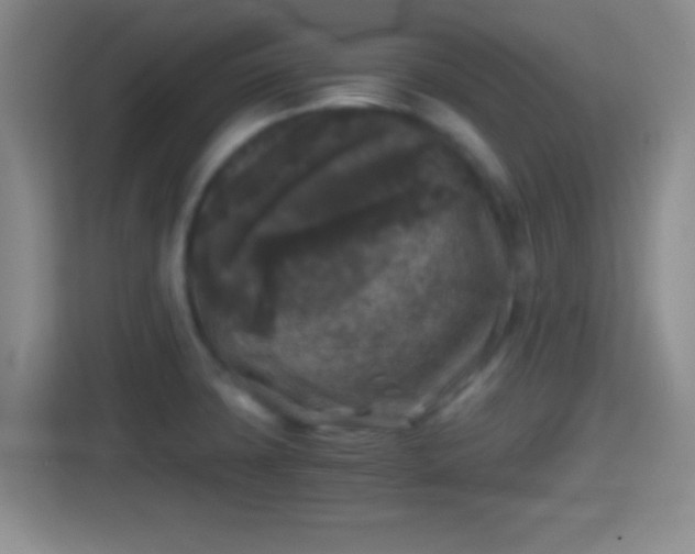 X0000114411427200910231123
