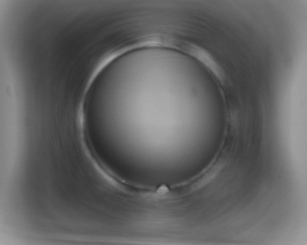 X0000114411428200910231123