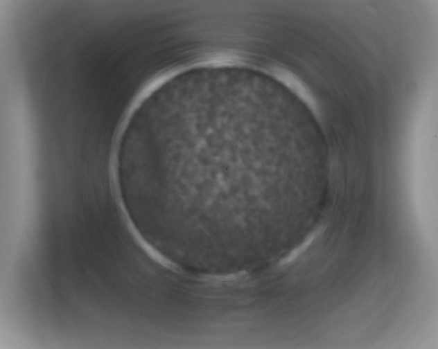X0000114411429200910231123