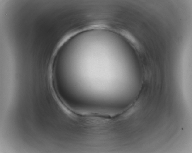 X0000114411430200910231123