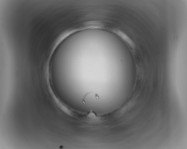 X0000114411431200910231123