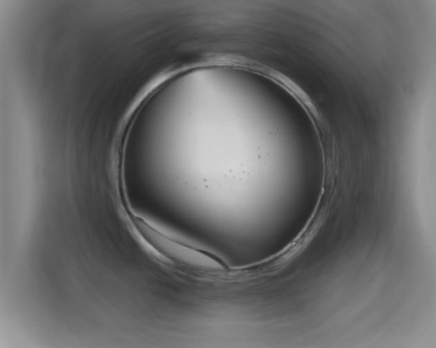 X0000114411438200910231123
