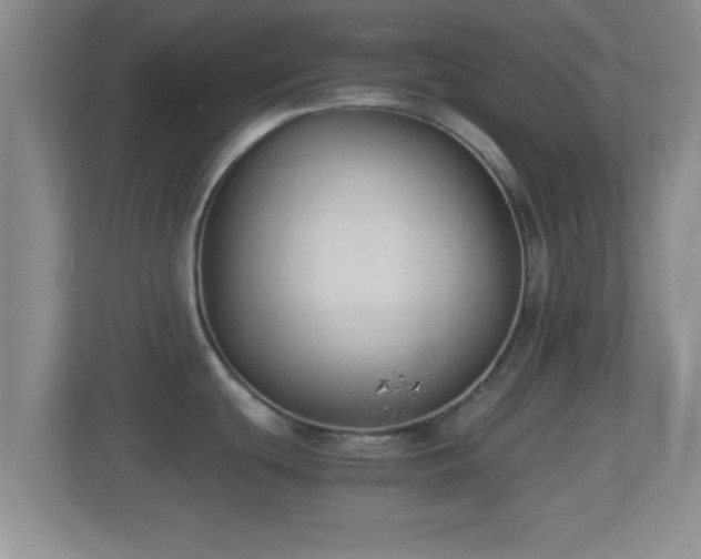 X0000114411439200910231123
