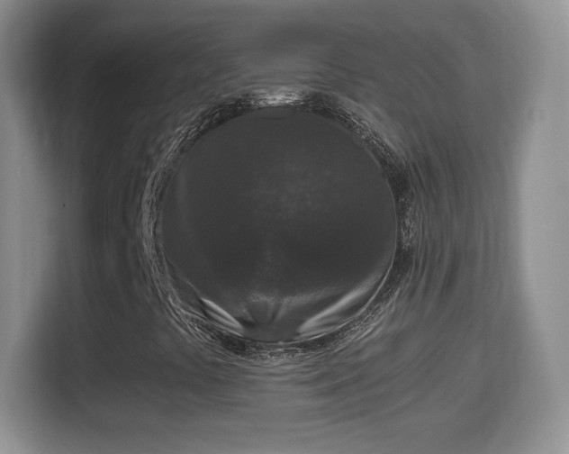 X0000114411441200910231123