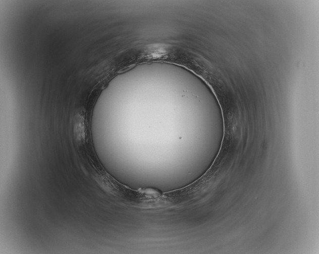 X0000114411442200910231123