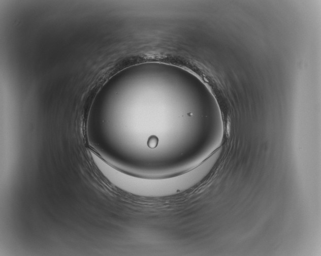 X0000114411444200910231123