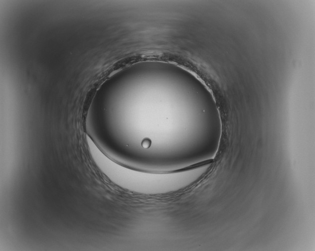 X0000114411445200910231123
