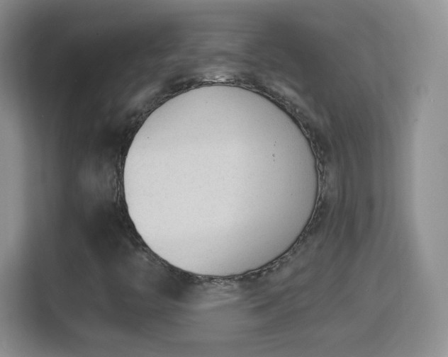 X0000114411446200910231123