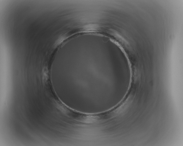 X0000114411449200910231123