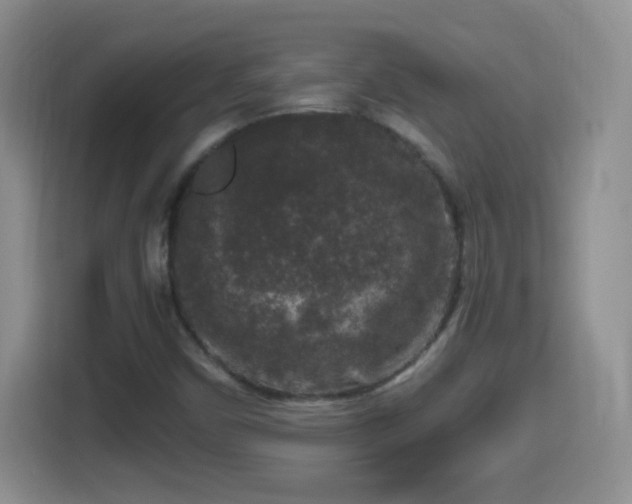X0000114411450200910231123
