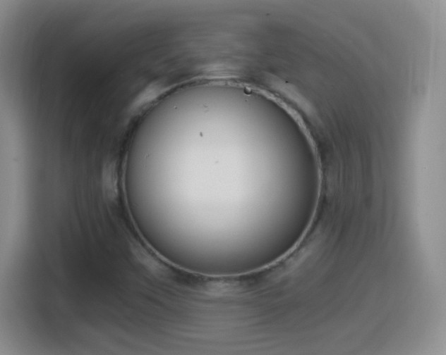 X0000114411451200910231123