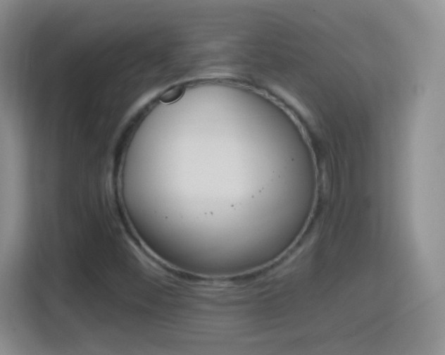 X0000114411452200910231123