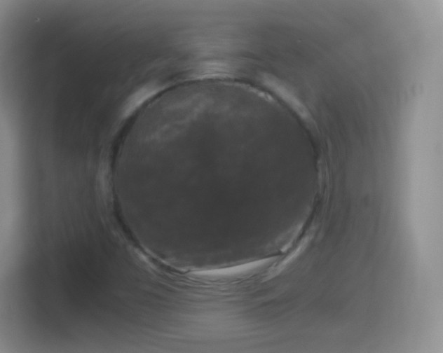 X0000114411453200910231123