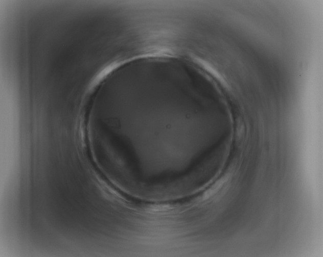 X0000114411455200910231122
