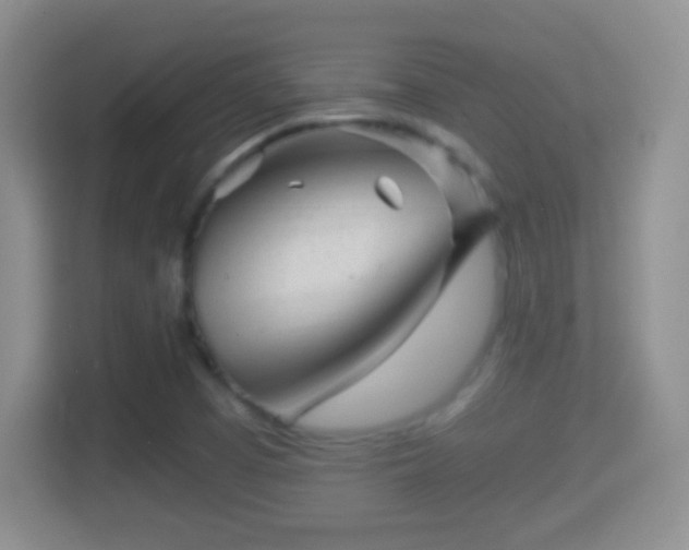 X0000114411457200910231122