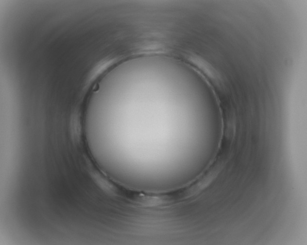 X0000114411458200910231122
