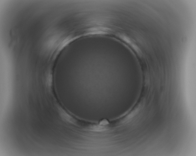 X0000114411459200910231122