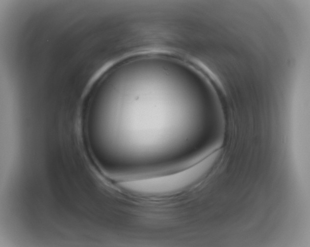 X0000114411460200910231122
