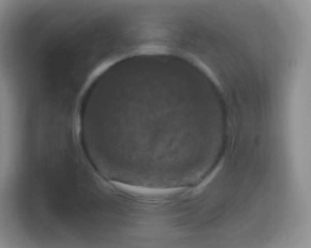X0000114411461200910231122