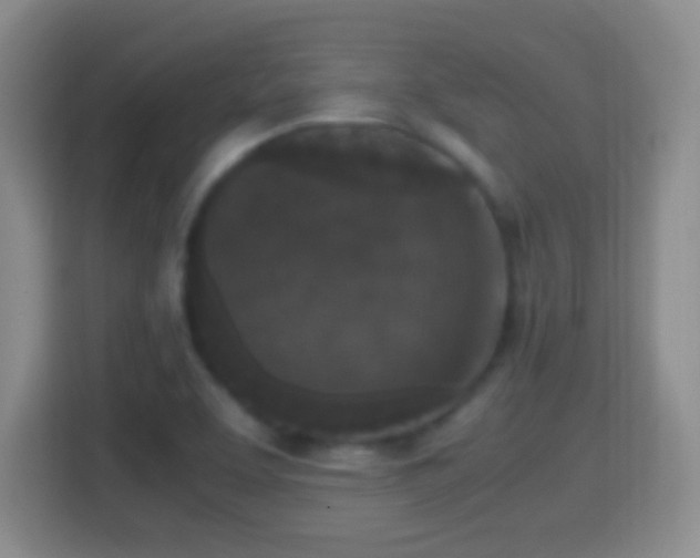 X0000114411463200910231122