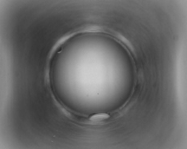 X0000114411464200910231122