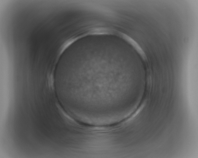 X0000114411465200910231122