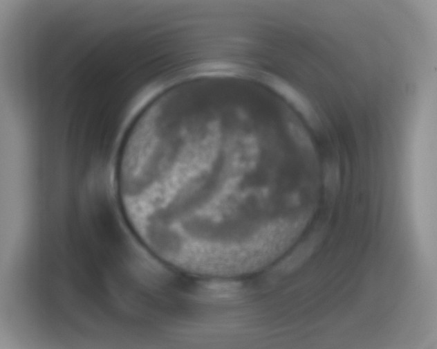 X0000114411466200910231122