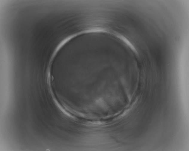 X0000114411468200910231122