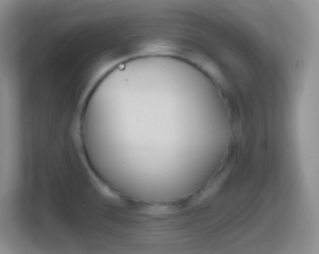 X0000114411470200910231122