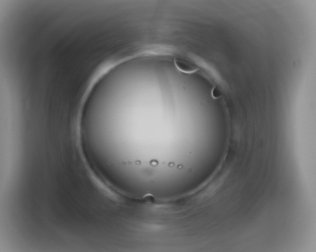 X0000114411471200910231122