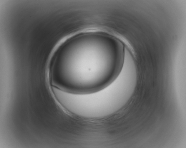 X0000114411472200910231122
