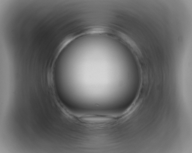 X0000114411473200910231122