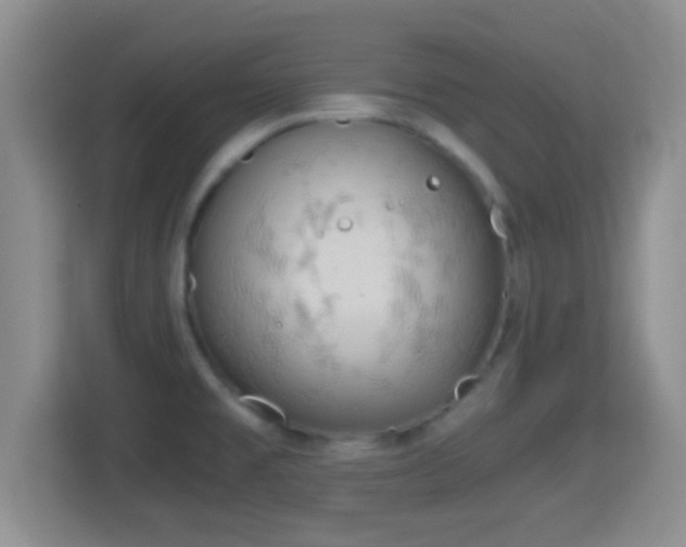 X0000114411477200910231122