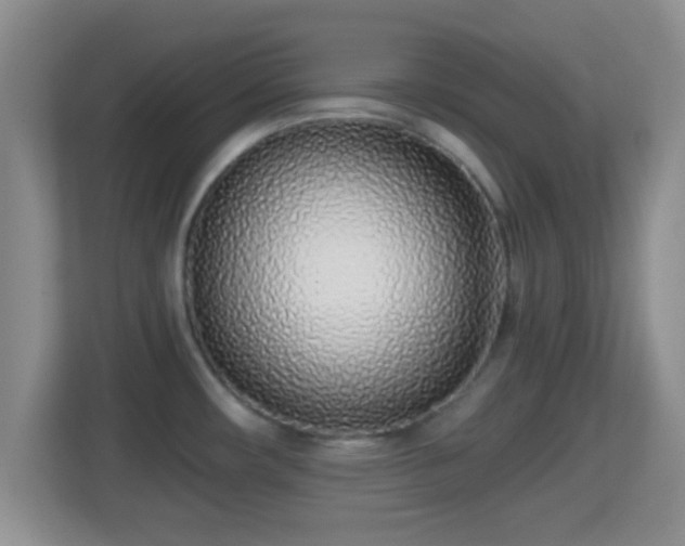 X0000114411482200910231122