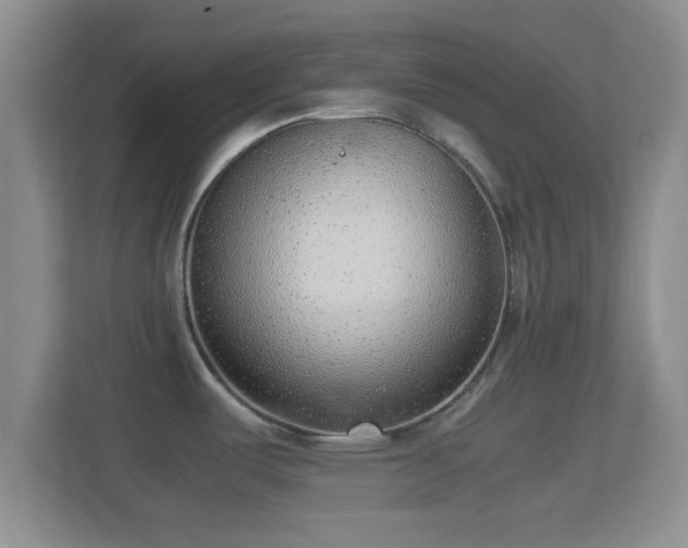 X0000114411487200910231122