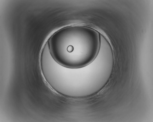 X0000114411488200910231122