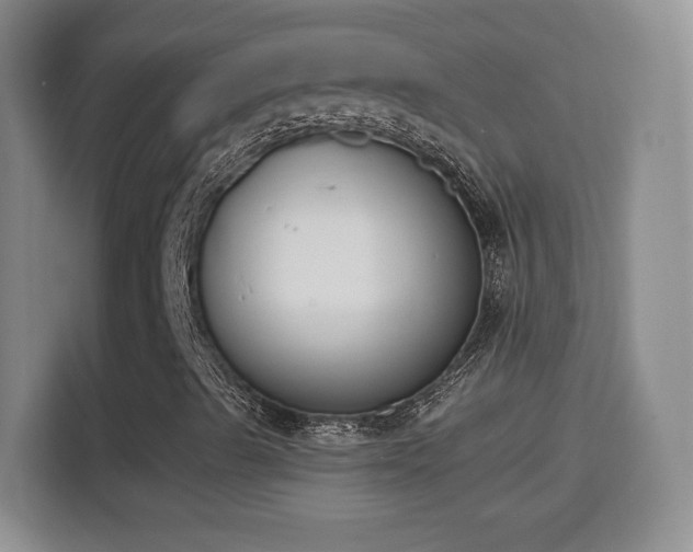 X0000114411489200910231121