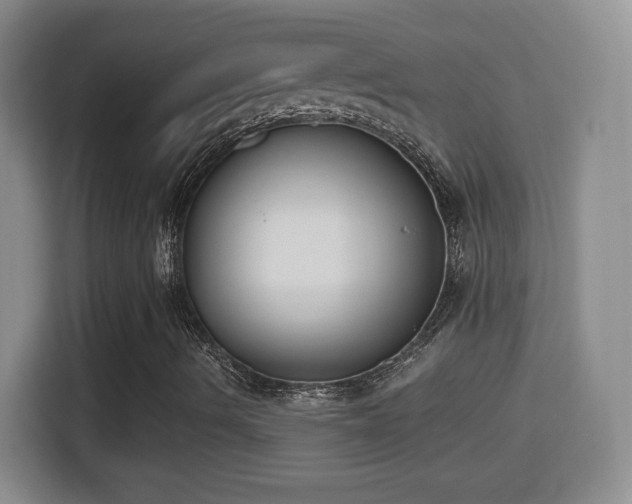 X0000114411490200910231121