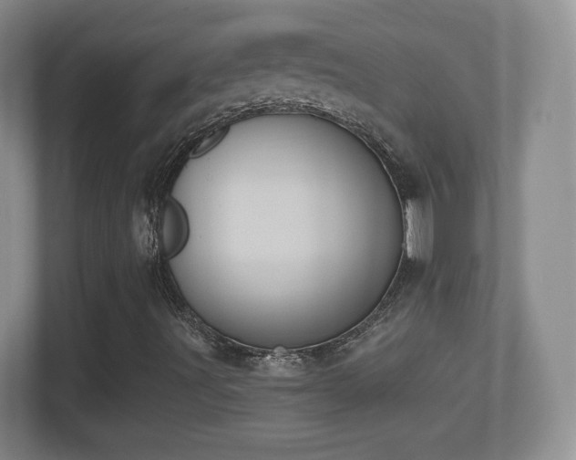 X0000114411491200910231121