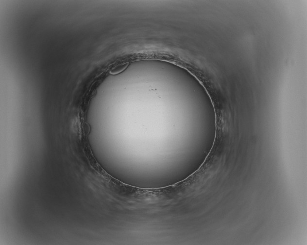 X0000114411493200910231121