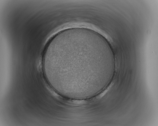 X0000114411498200910231122