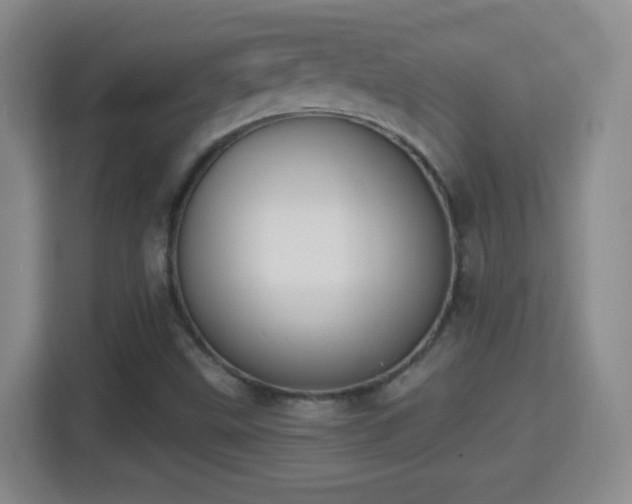 X0000114411499200910231122