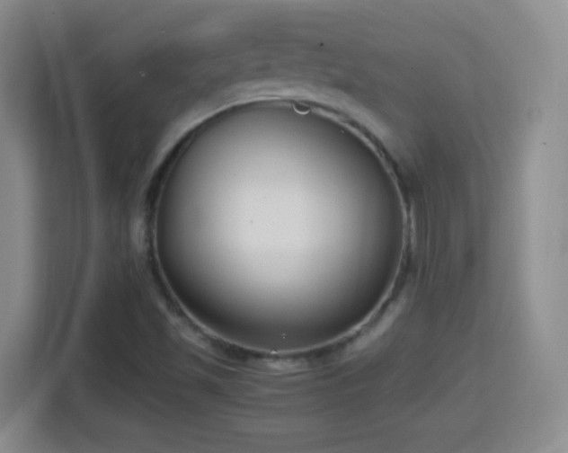 X0000114411501200910231122