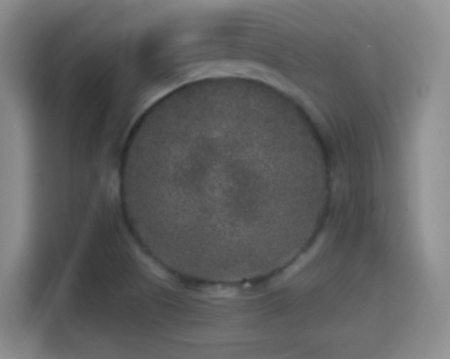 X0000114411505200910231122