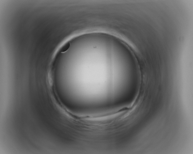 X0000114411510200910231122
