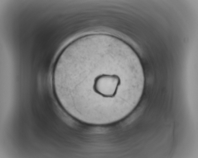 X0000114411514200910231122