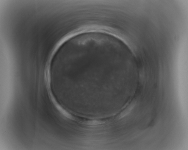 X0000114411515200910231122