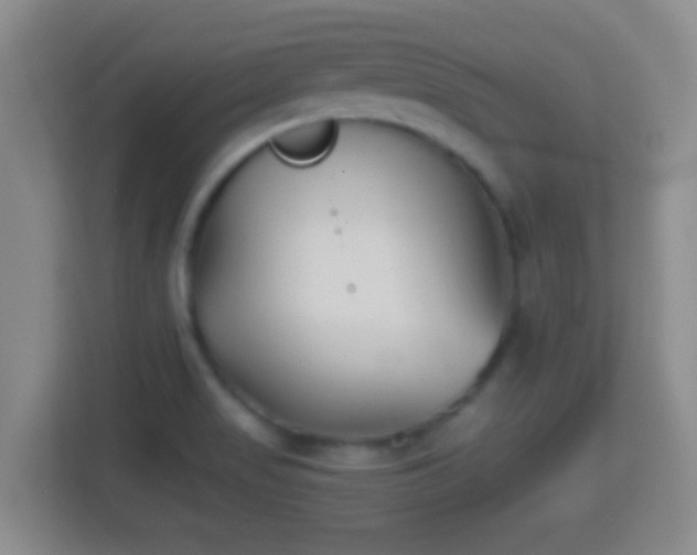 X0000114411517200910231122