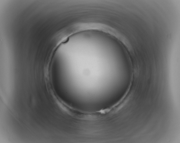 X0000114411521200910231122