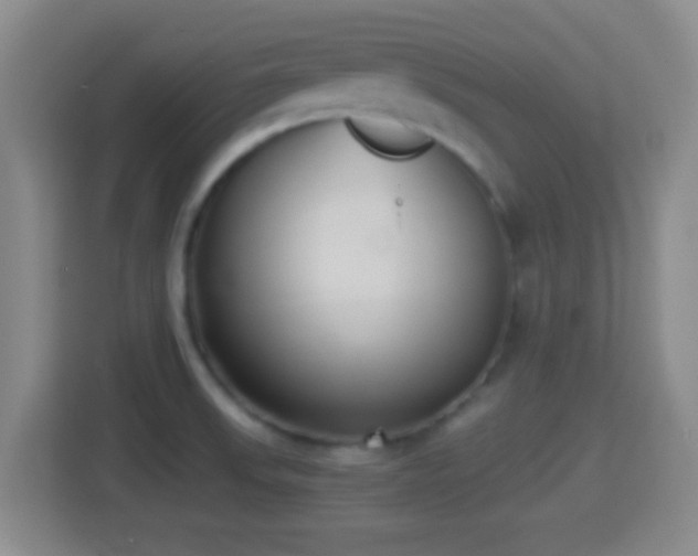 X0000114411523200910231122